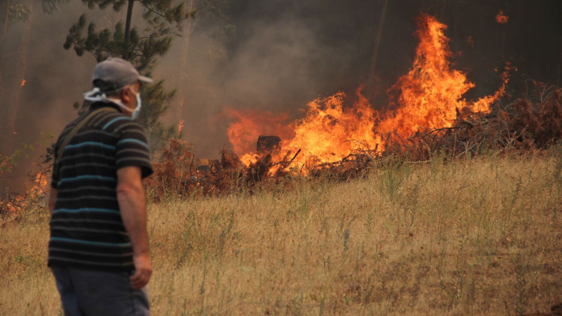 “Independiente de la causalidad, el daño de los incendios forestales es el mismo”: Corma por avance en investigaciones por siniestros forestales del verano en el Biobío