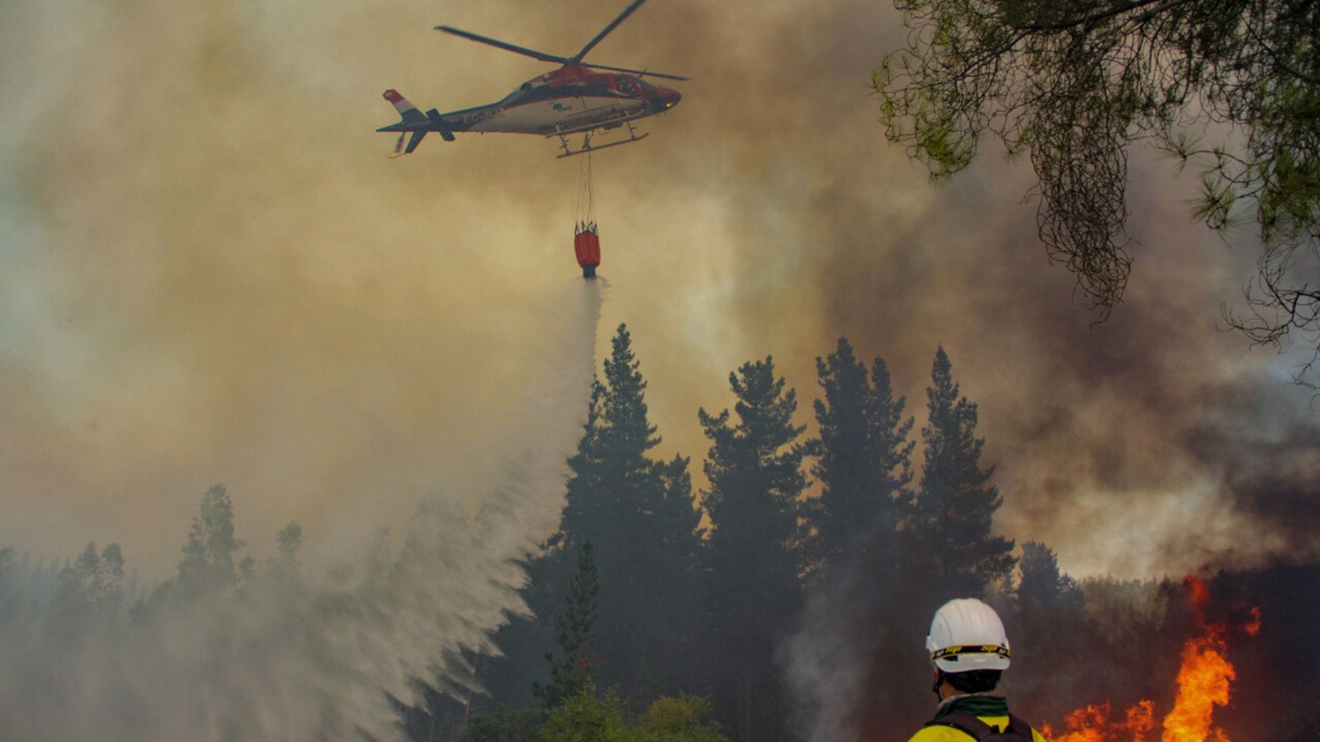 CPC Biobío pide enfocar esfuerzos para frenar intencionalidad de incendios forestales