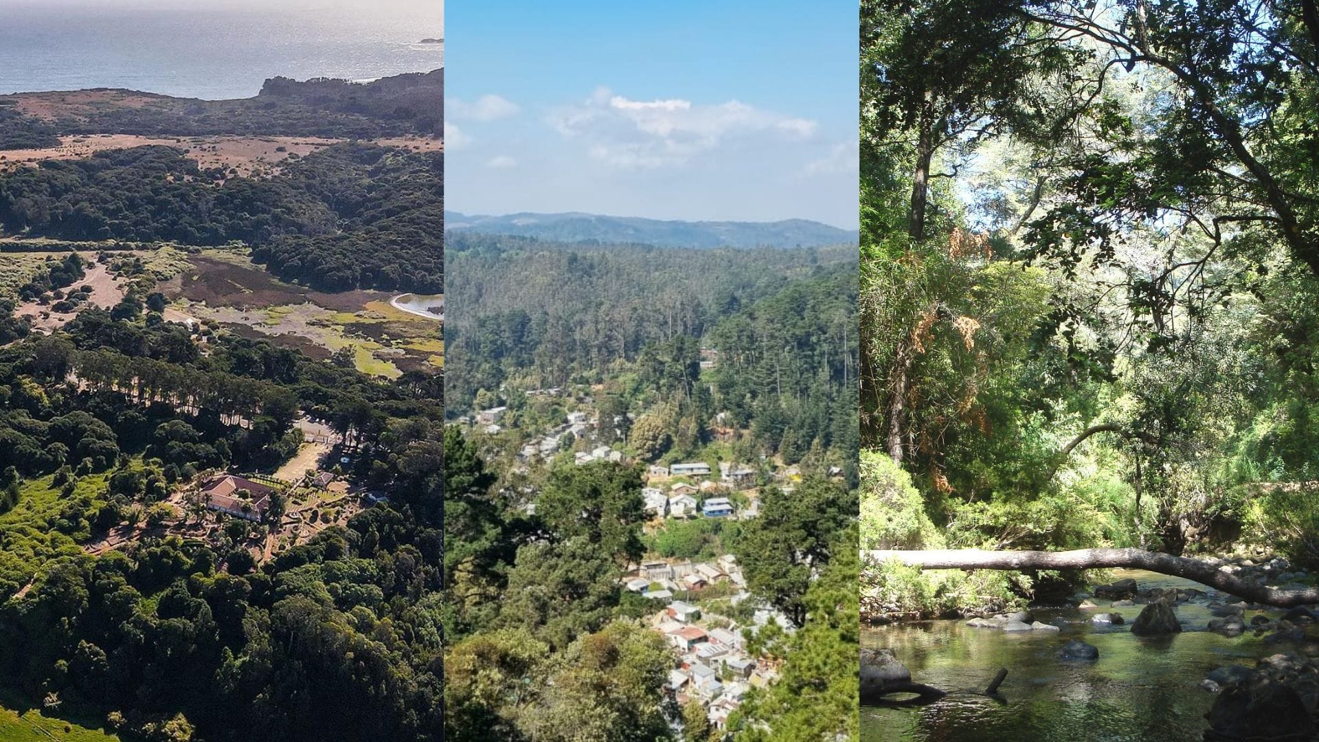 Cierran tres parques en el Gran Concepción por altas temperaturas y riesgo de incendios