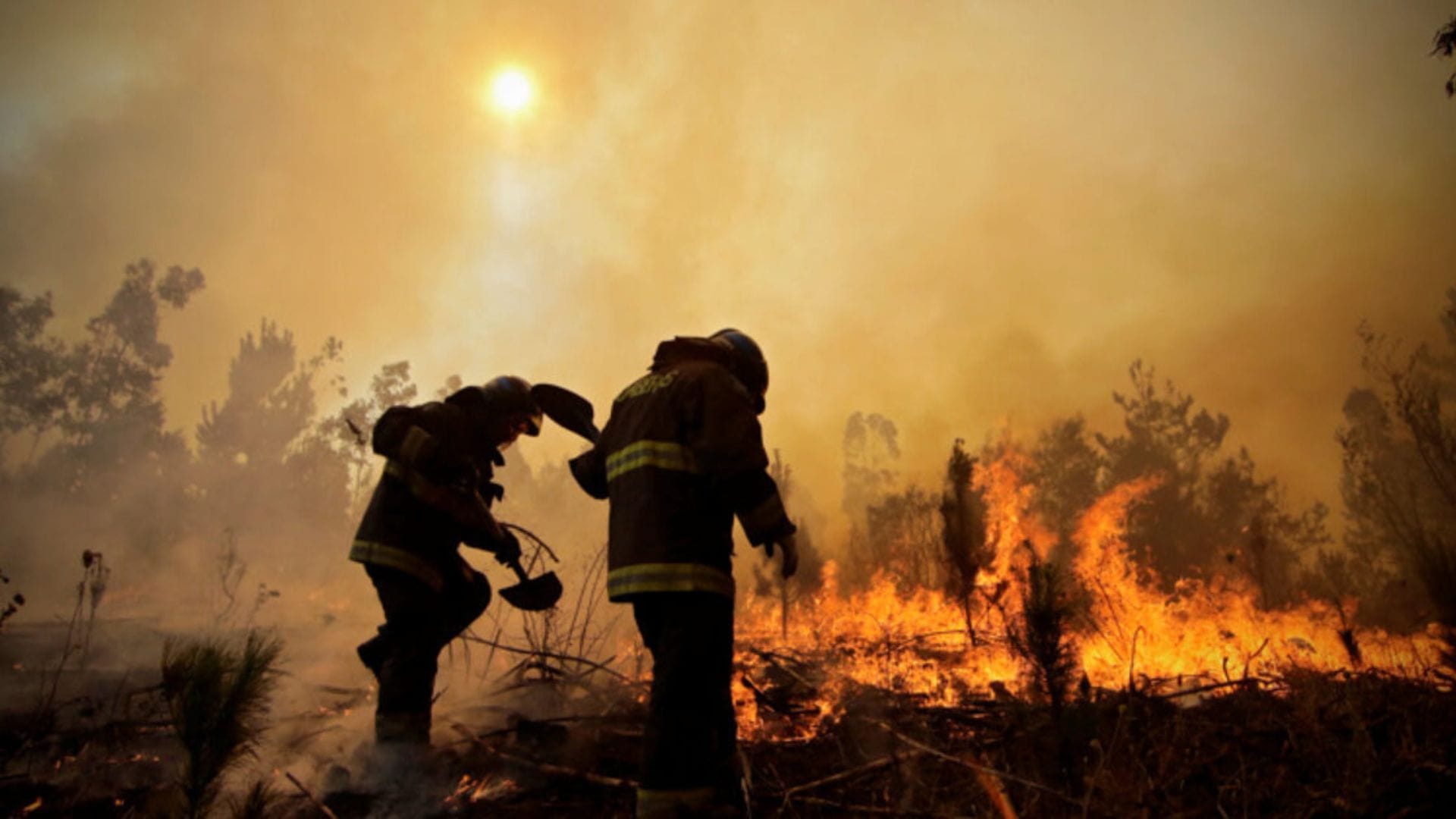 Editorial: Incendios forestales, debimos estar preparados para el peor escenario