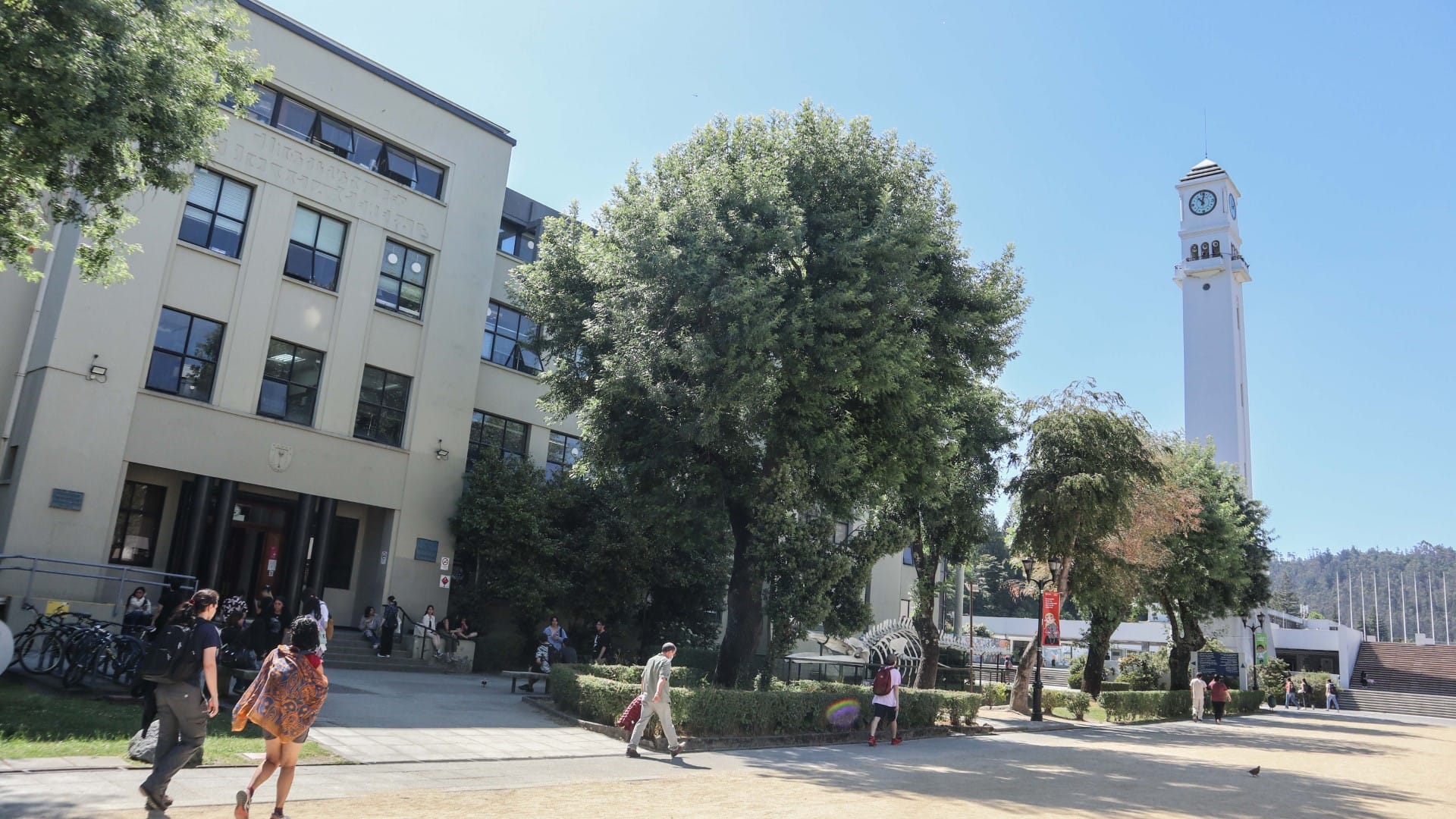 Cuatro detenidos por delitos violentos en campus Universidad de Concepción: Hallan armas y droga