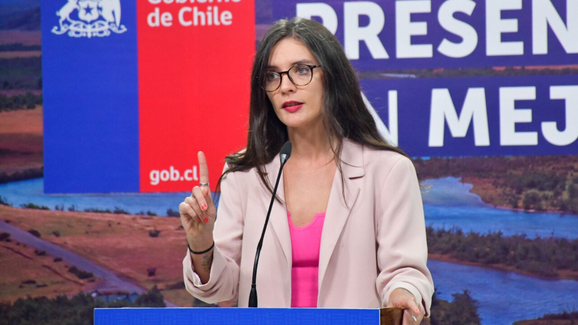Ministra Vallejo e indultos: “Los antecedentes obraron en expedientes que puso a disposición Gendarmería”
