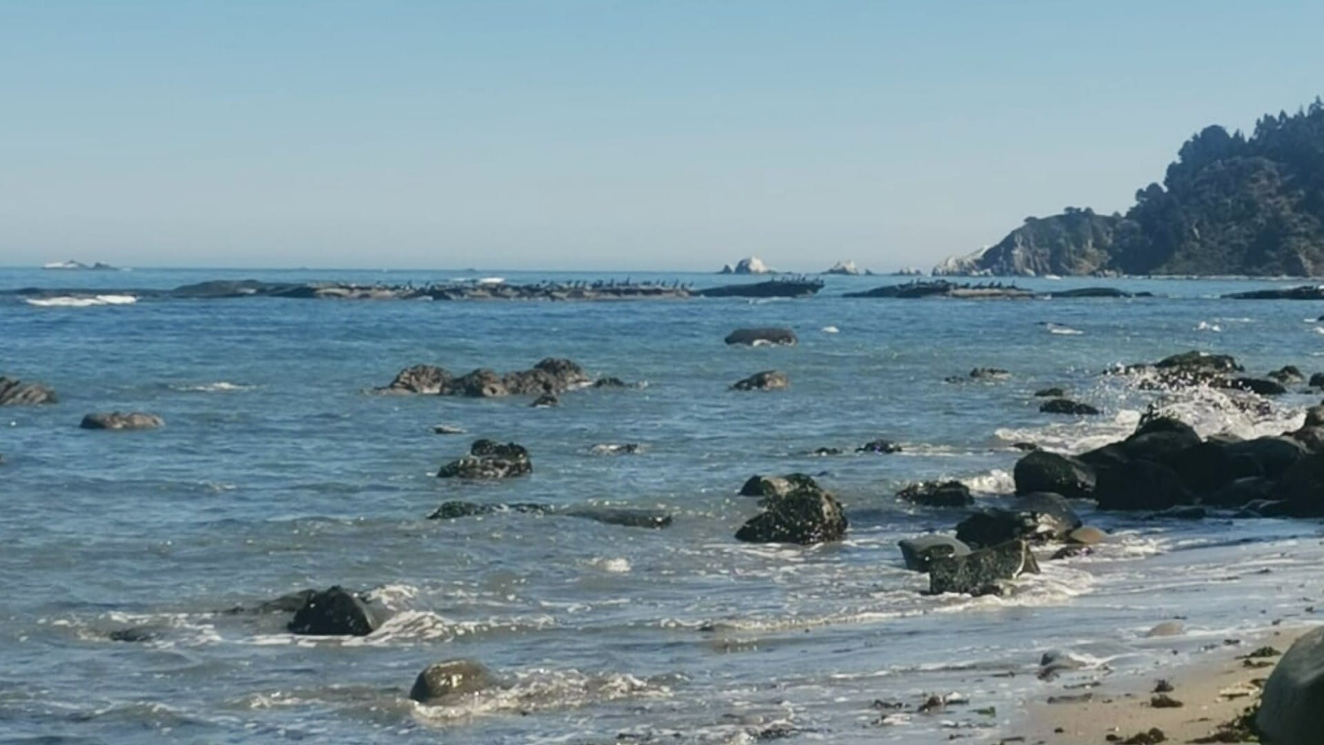 Surfista argentina fallece tras accidente en caleta Cocholgüe de Tomé: Impactó con tronco flotante