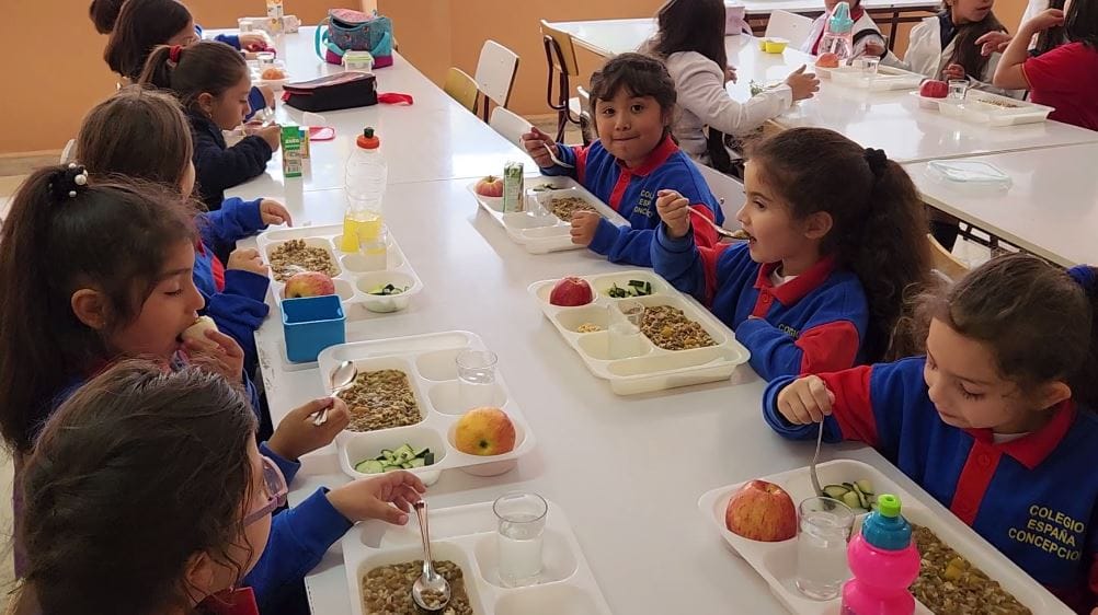 Presentan Mejores Alimentos de Temporada para regreso a clases en el Biobío: Los más sanos y baratos