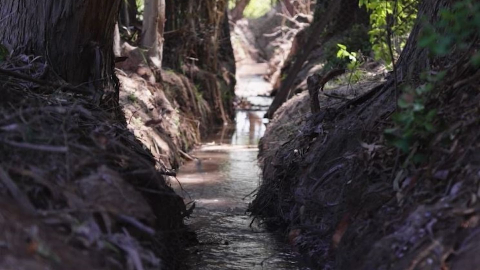 Día Mundial del Agua: ¿Qué hacen las industrias químicas para cuidar este recurso natural?