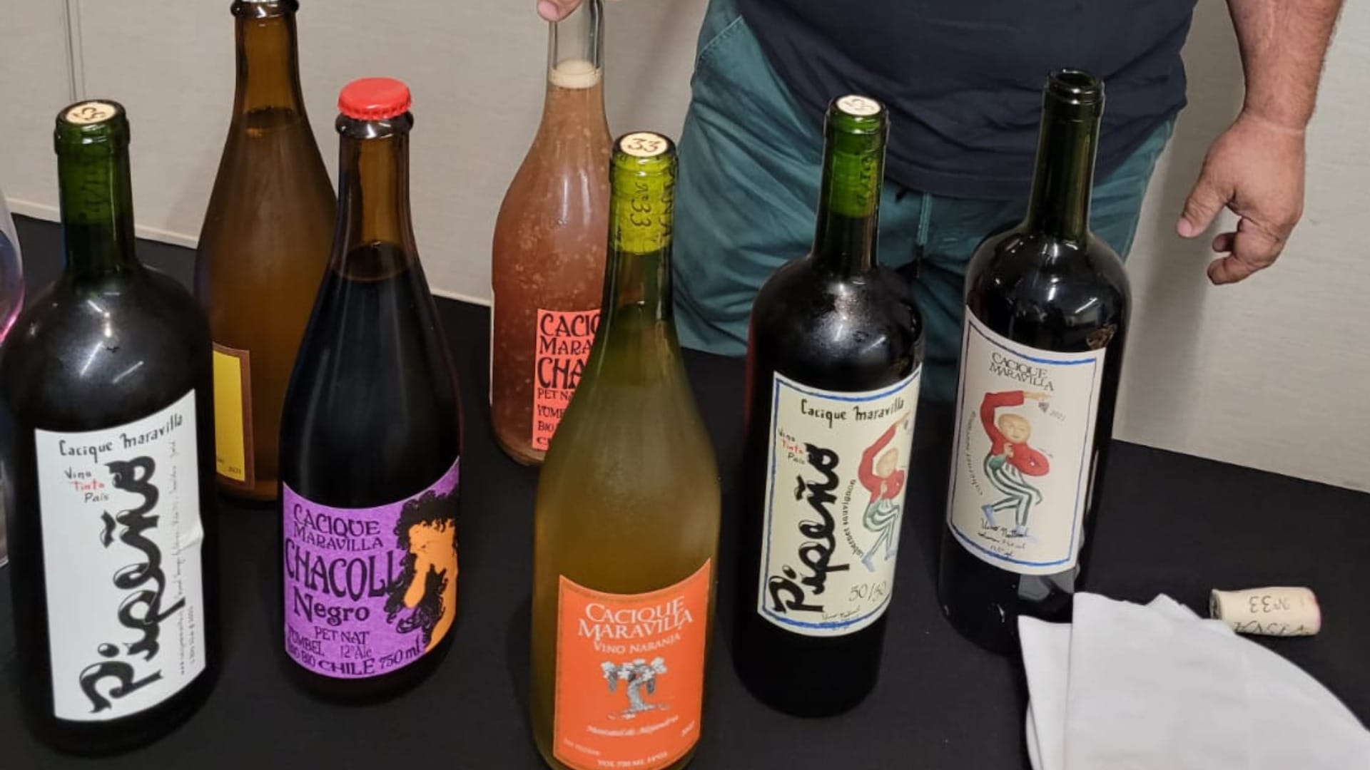 Importadores de vinos de Noruega llegaron a conocer producción del Biobío, Ñuble y Maule
