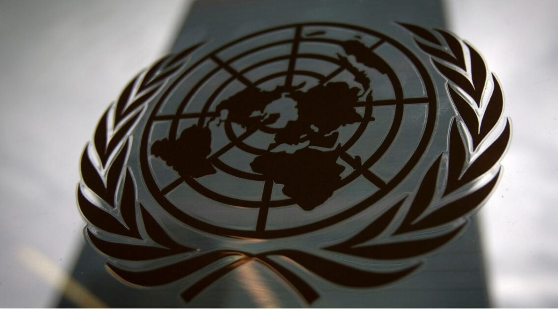 La ONU se refirió a la Ley Nain-Retamal: “Obstaculiza el acceso a la justicia para víctimas de potenciales abusos”