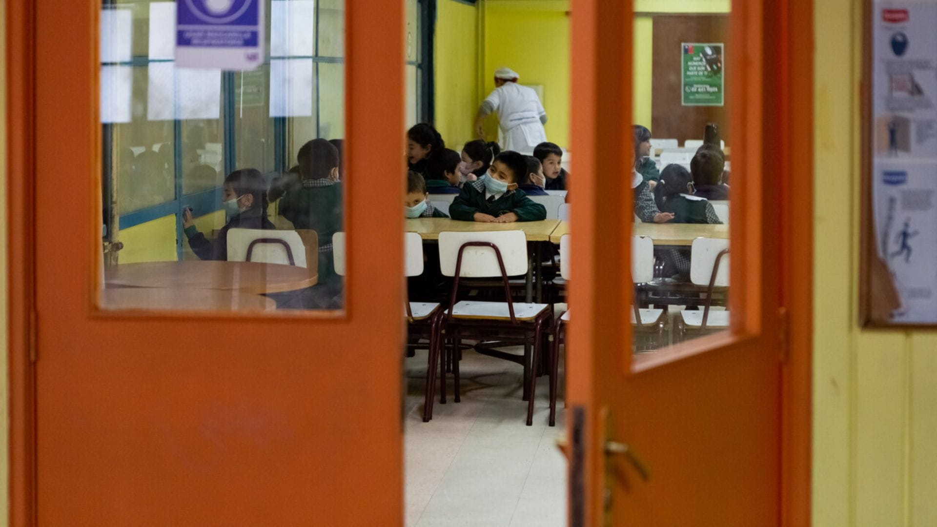 Brote de sarna fue detectado en escuela de Viña del Mar