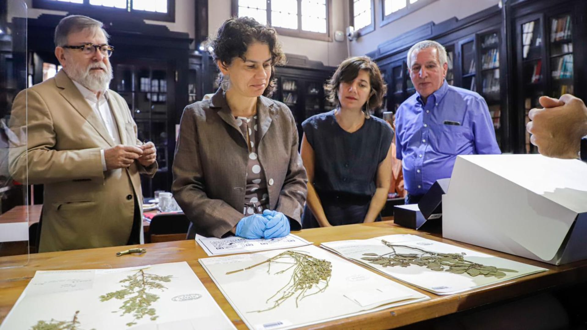 Impulsan inventario nacional de especies con inédita exhibición de plantas extintas