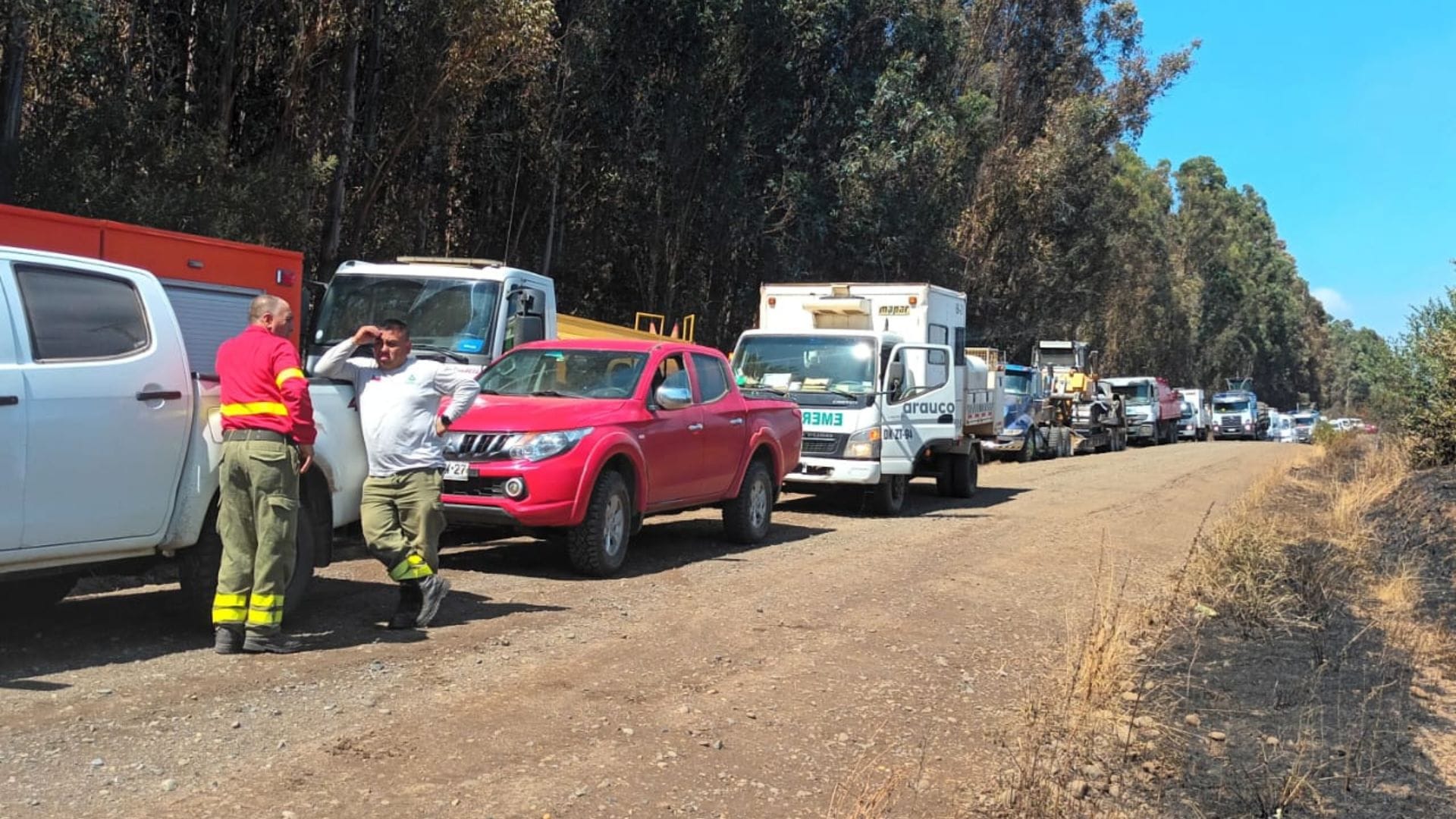 Fuego está descontrolado: Denuncian ataque a balazos contra brigadistas que combaten incendio en La Araucanía