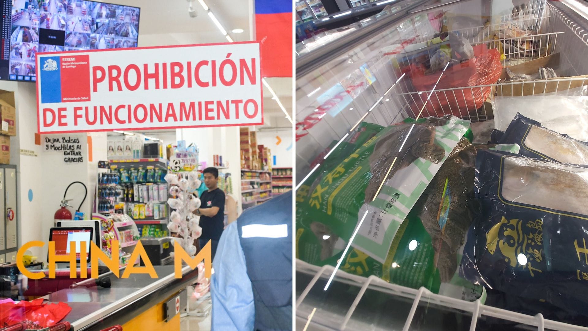 Vendían hasta carne de tortugas y ranas traídas de China: Prohiben funcionamiento a supermercado del Barrio Meiggs