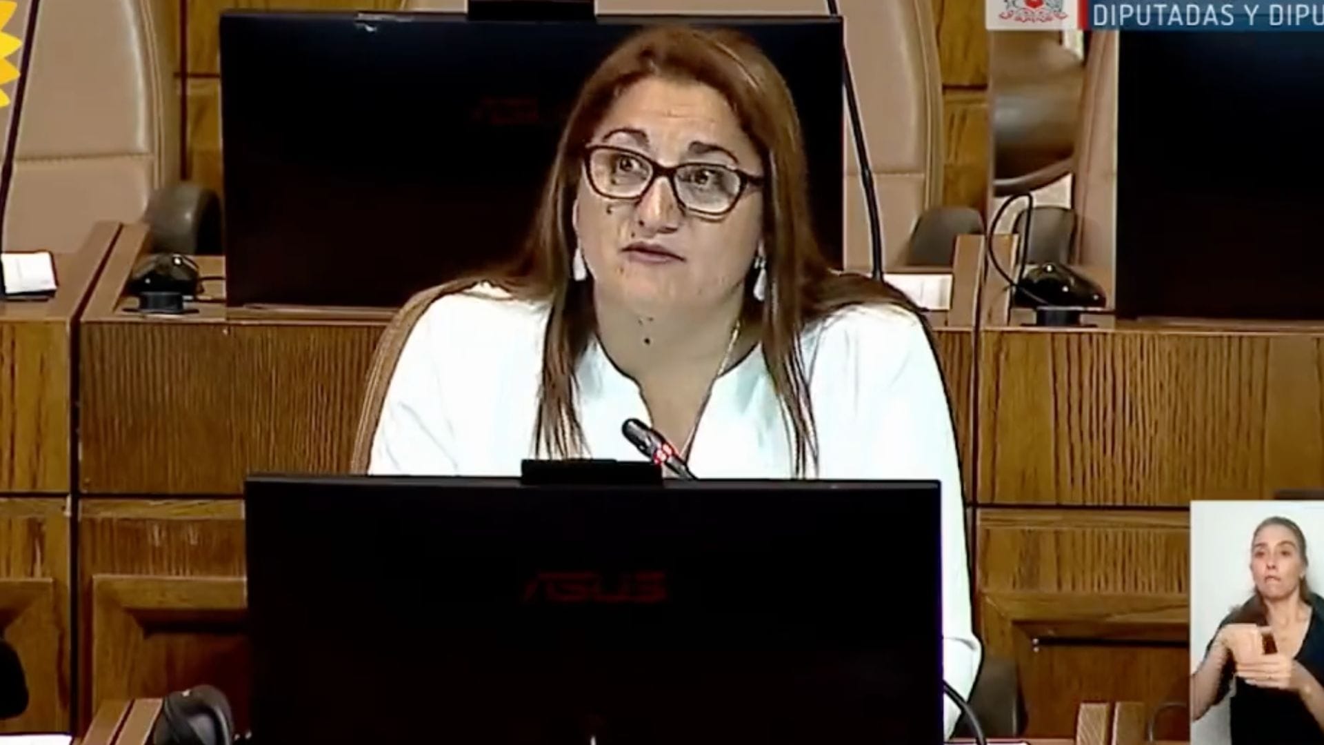 Diputada Delgado pidió perdón por no votar la Reforma Tributaria: “Mi intención siempre fue aprobar”