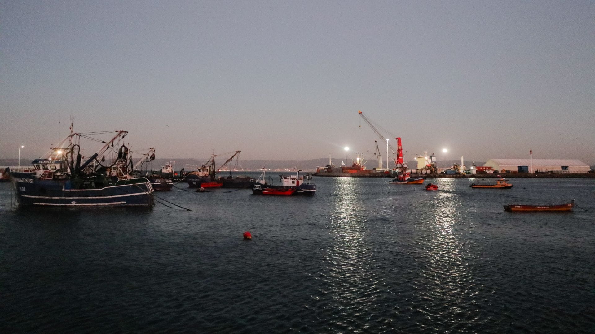 Más organización en zarpes y recaladas: Buscan controlar los malos olores de la pesca en Talcahuano
