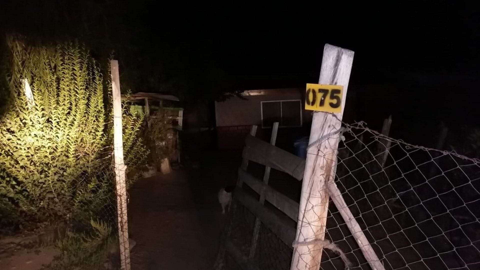 “Todos al suelo”: Falsos detectives irrumpen en casas y cometen violento asalto a familia en sector rural de Salamanca