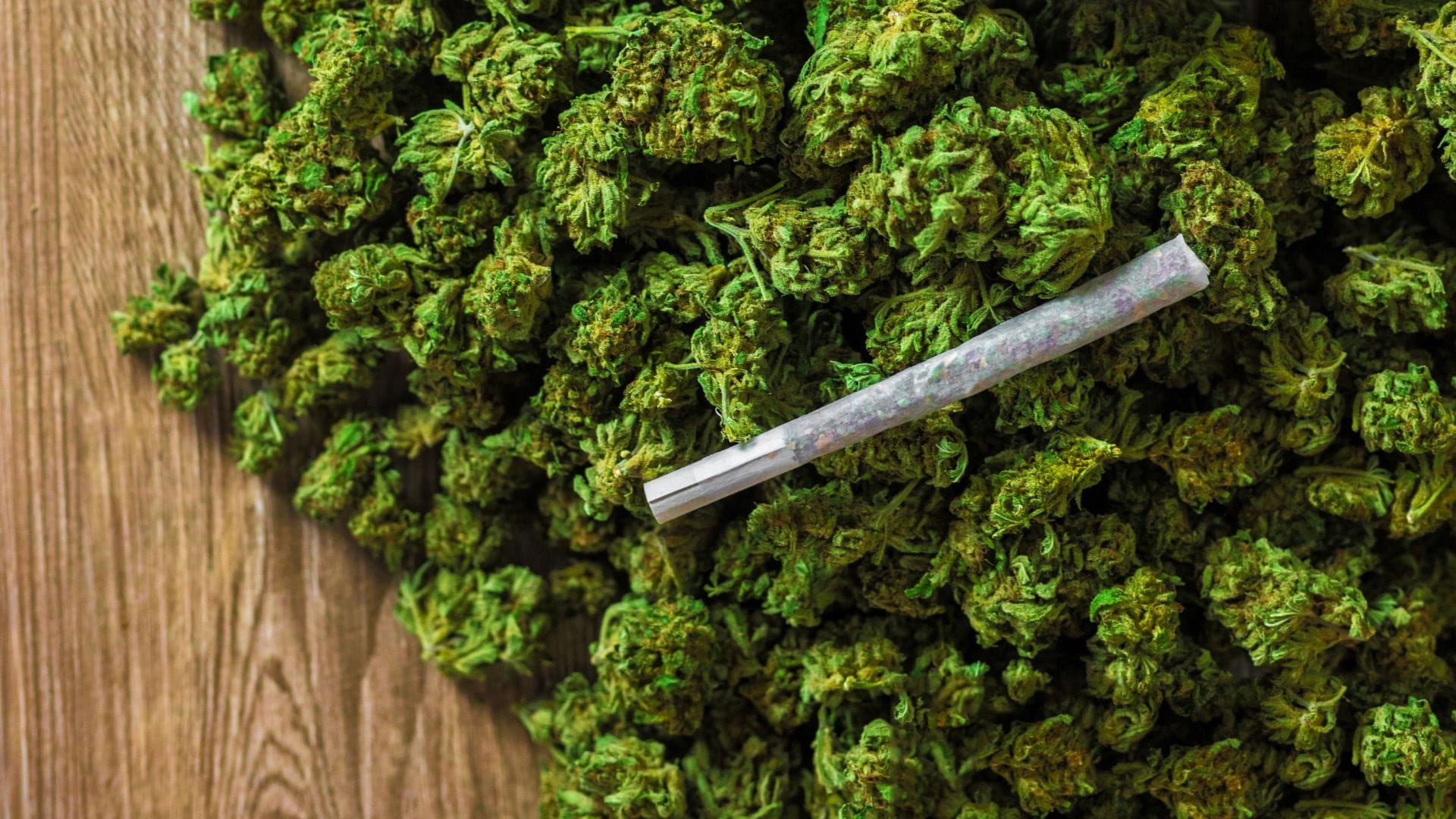 Avanza proyecto que permite compra y venta de cannabis para uso adulto en Colombia