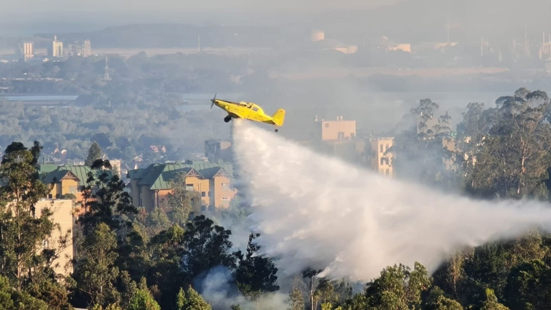 San Pedro de la Paz: Así combaten el incendio forestal en la península de Andalué