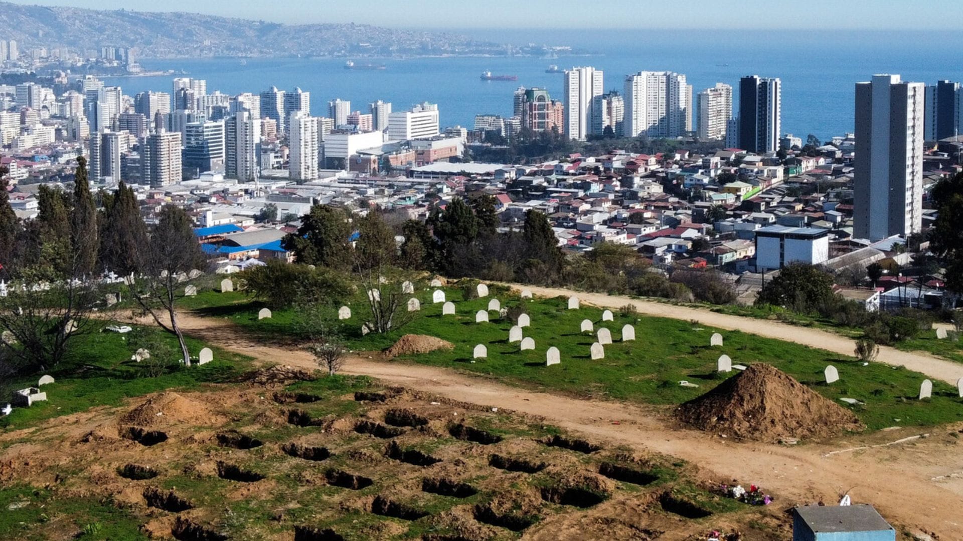 Impactante hallazgo: Encuentran un cráneo humano al interior de un saco en cementerio de Viña del Mar