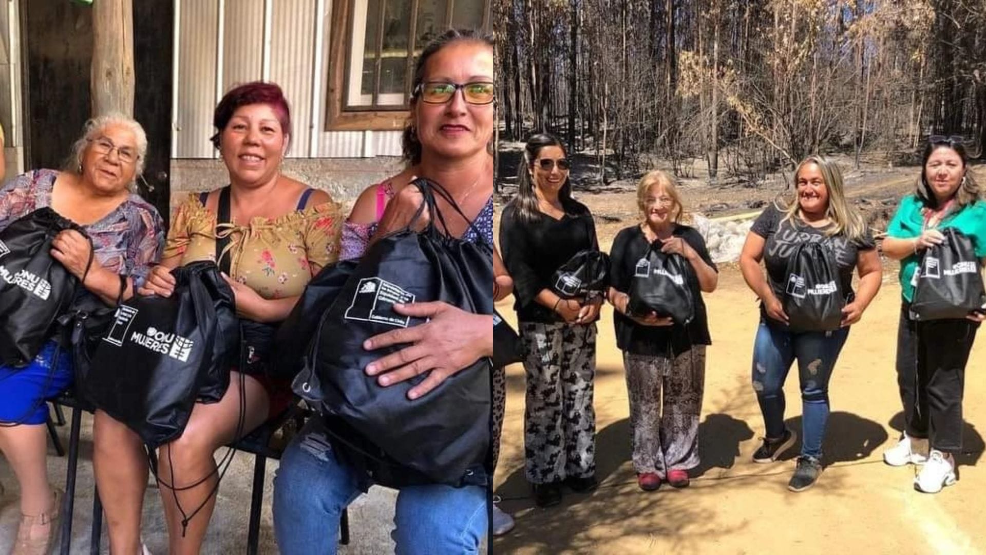 Mujeres del Biobío e incendios forestales: Las gestiones y ayudas que han recibido durante la catástrofe