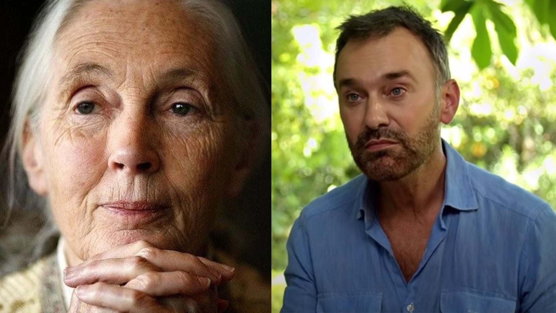 Jordi Castell subió foto de “su vecina Esther” y fue ‘trolleado’: Resultó ser Jane Goodall