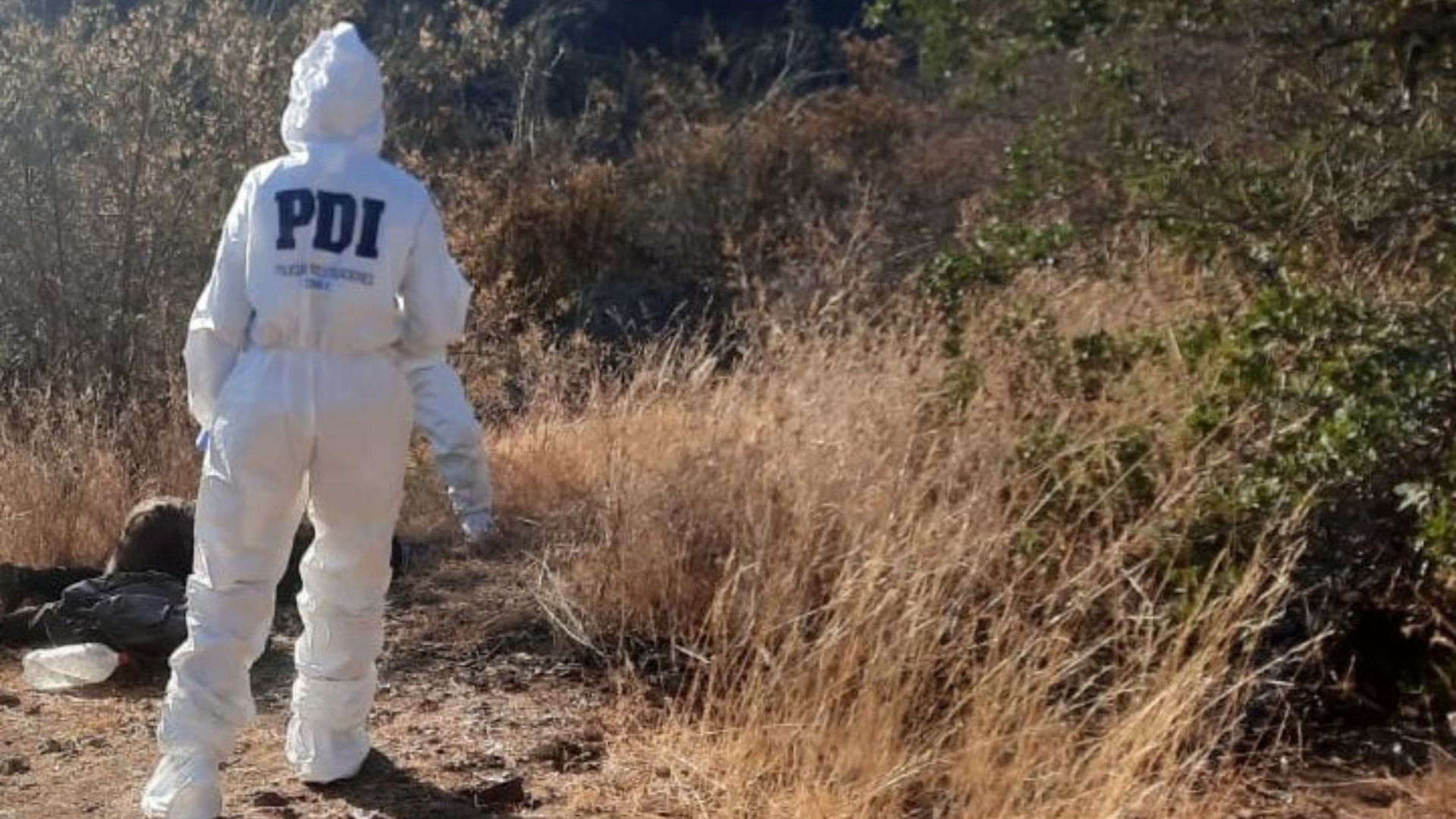Indagan hallazgo de cuerpo cerca de cultivo de marihuana en la Región de Coquimbo