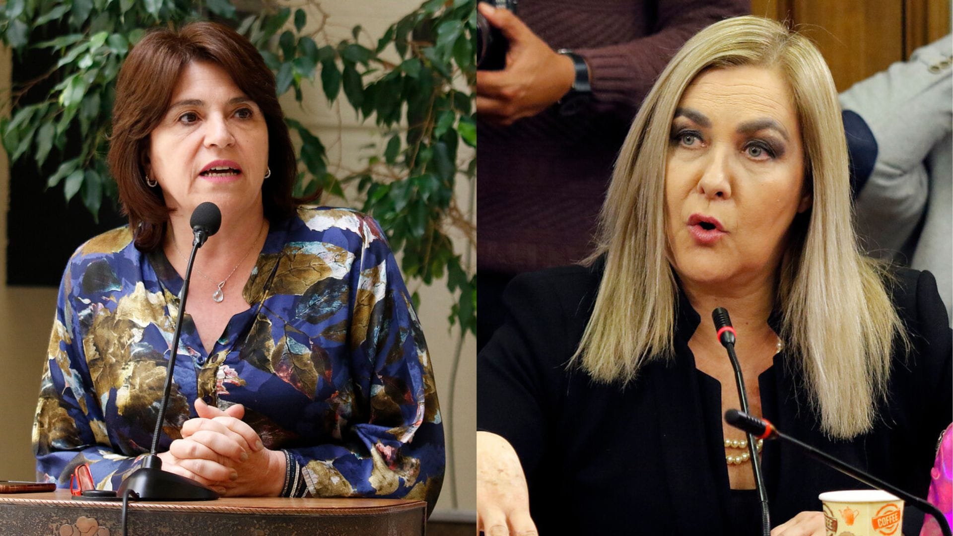 “La consideramos de oposición”: Gobierno arremete contra Pamela Jiles tras votación de la Reforma Tributaria