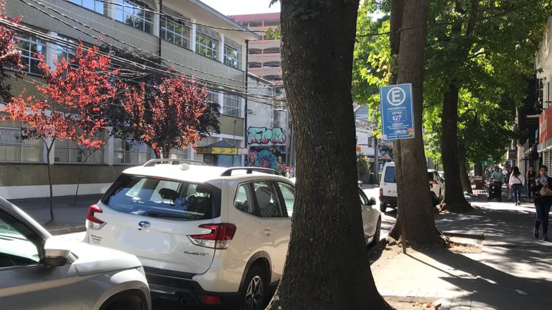 Municipio de Concepción por suspensión de licitación de parquímetros: “Se dejan de percibir $120 millones de pesos”
