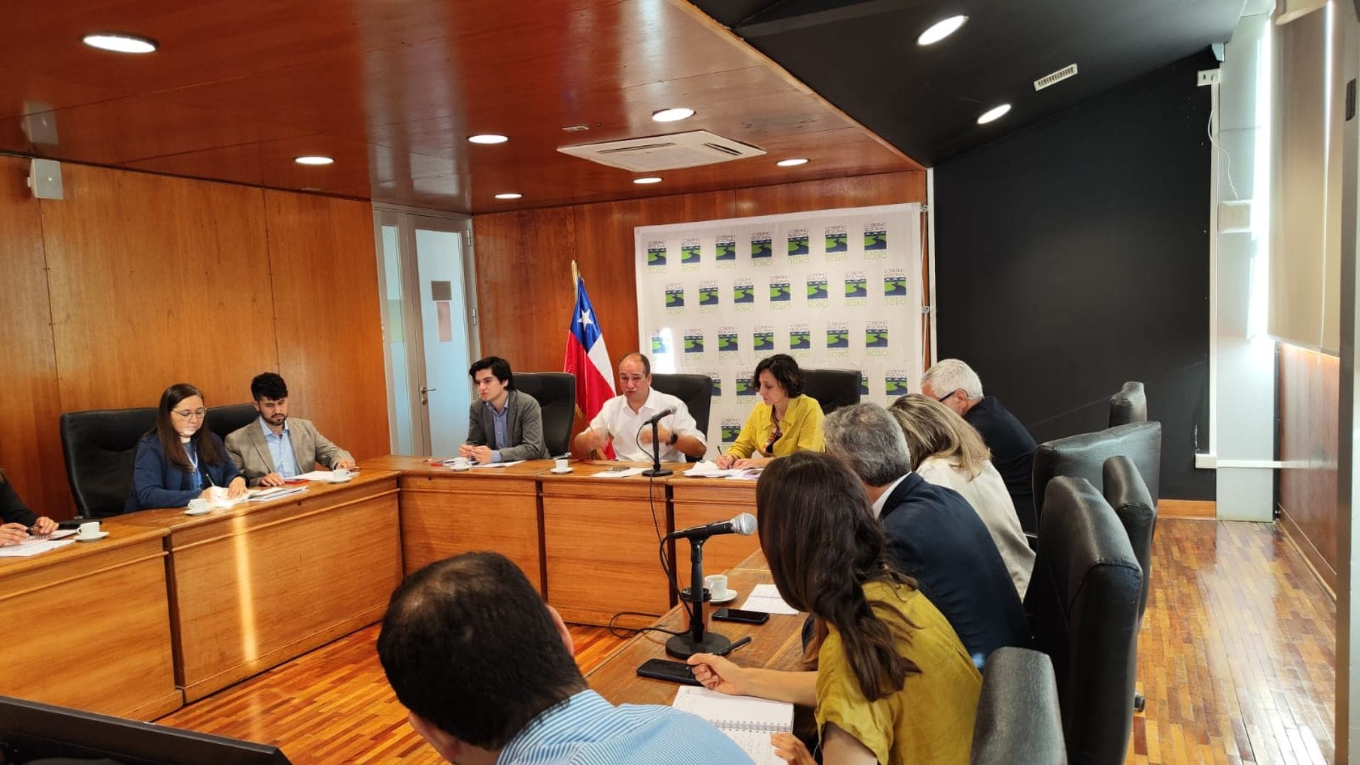 Misión de la ONU visita el Biobío para analizar los efectos de los incendios forestales