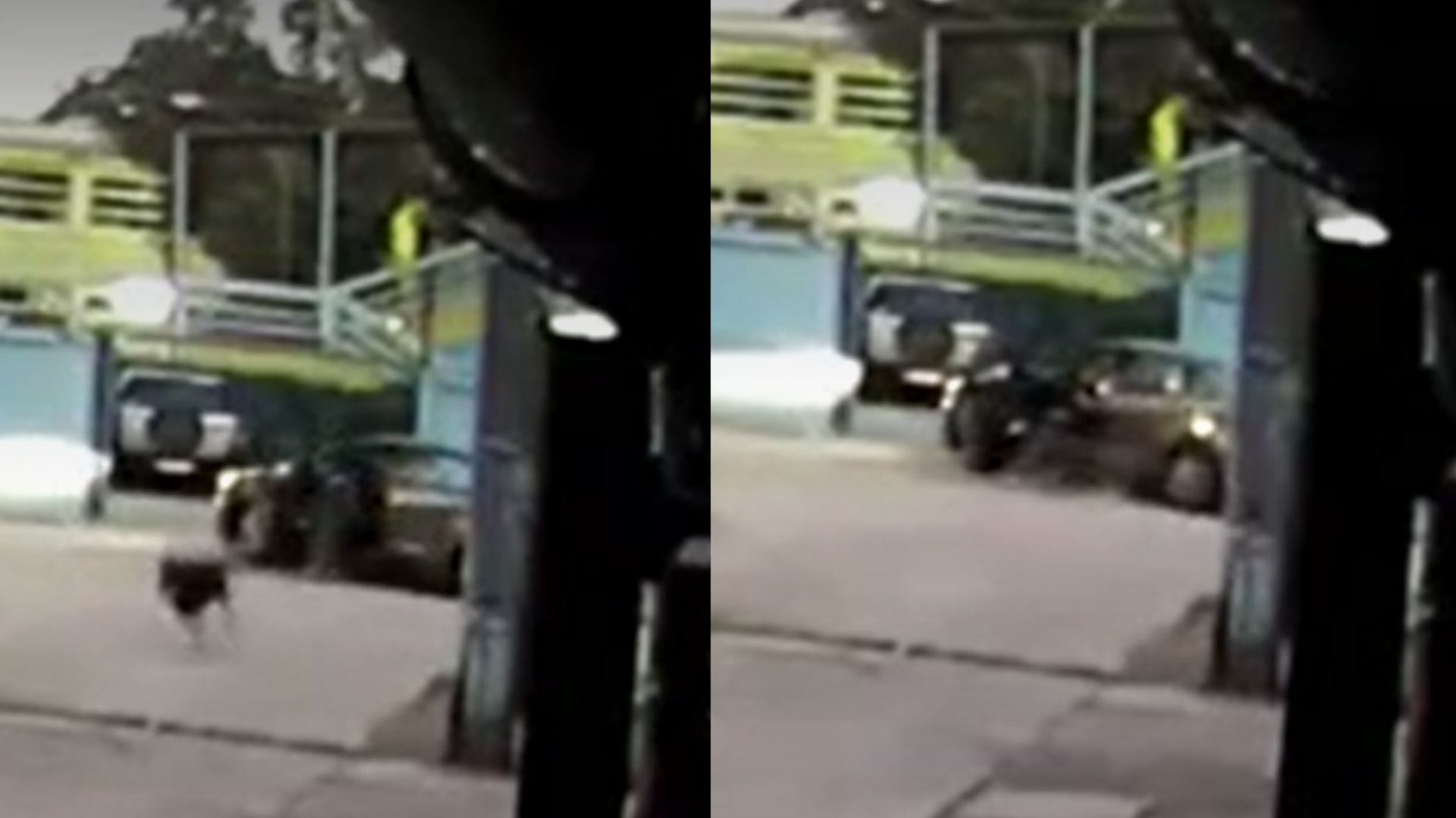 Profesora sufrió violenta encerrona cuando llegaba a trabajar a colegio en Maipú
