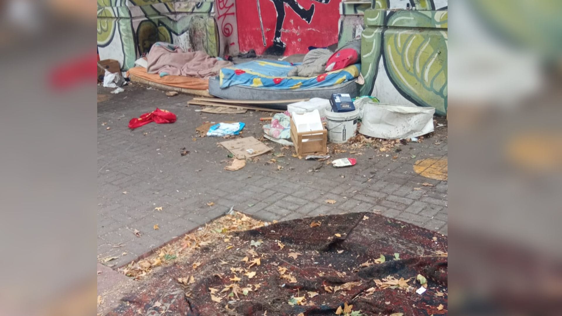 Denuncian problemas sanitarios y violencia de personas en situación de calle en Barros Arana de Concepción