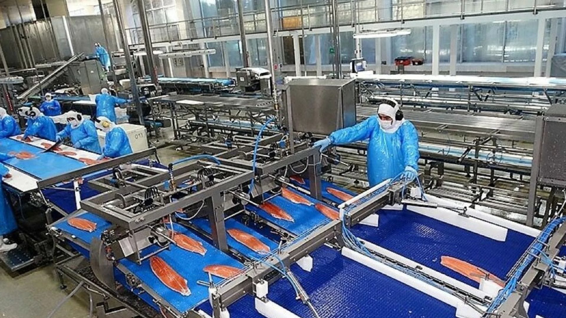 Oleada de despidos en la pesca industrial del Biobío; Nueva Ley de Pesca se presentará durante mayo