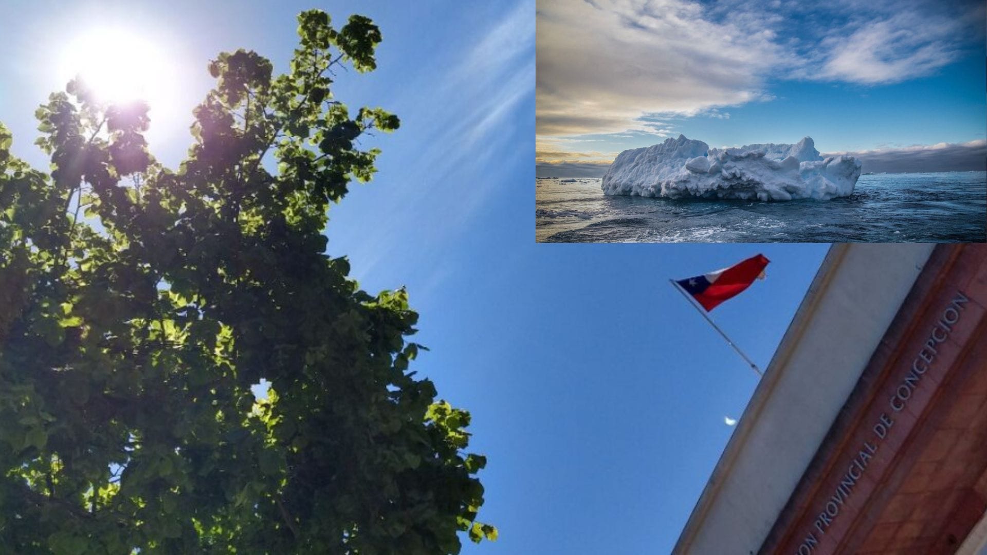 Cambio Climático: Febrero el mes más cálido de la historia y Antártica sufre con 80% menos de hielo marino