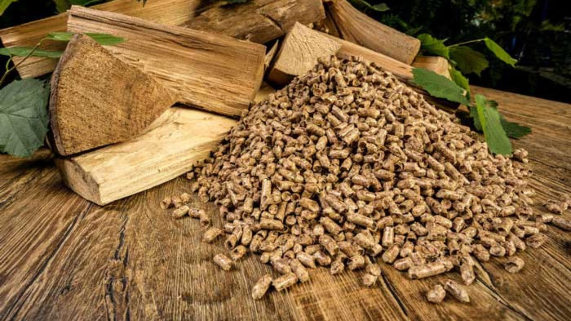 Aseguran producción de más de 20 tons de Pellet mensuales para evitar colapso del invierno pasado