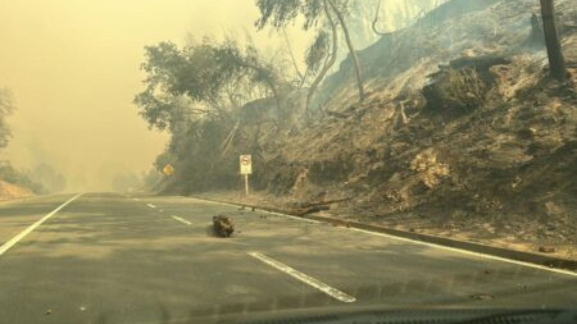 Preocupación en Santa Juana por deslizamientos de terreno o remociones en masa durante el invierno