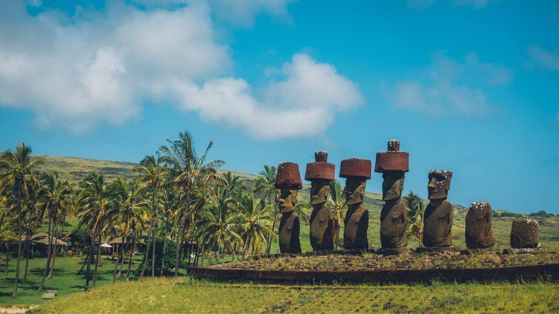Experto de Concepción explica el ecocidio en Isla de Pascua: Prolongadas sequías serían la causa