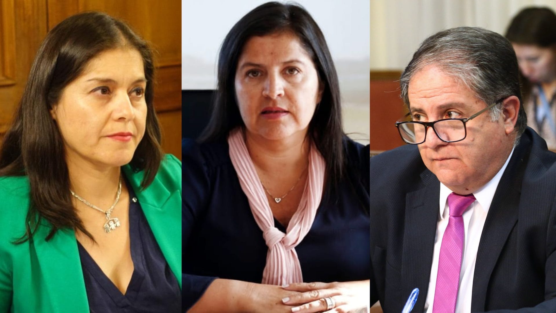 Diputados del PDG justifican petición para destituir a Fiscal Regional del Biobío