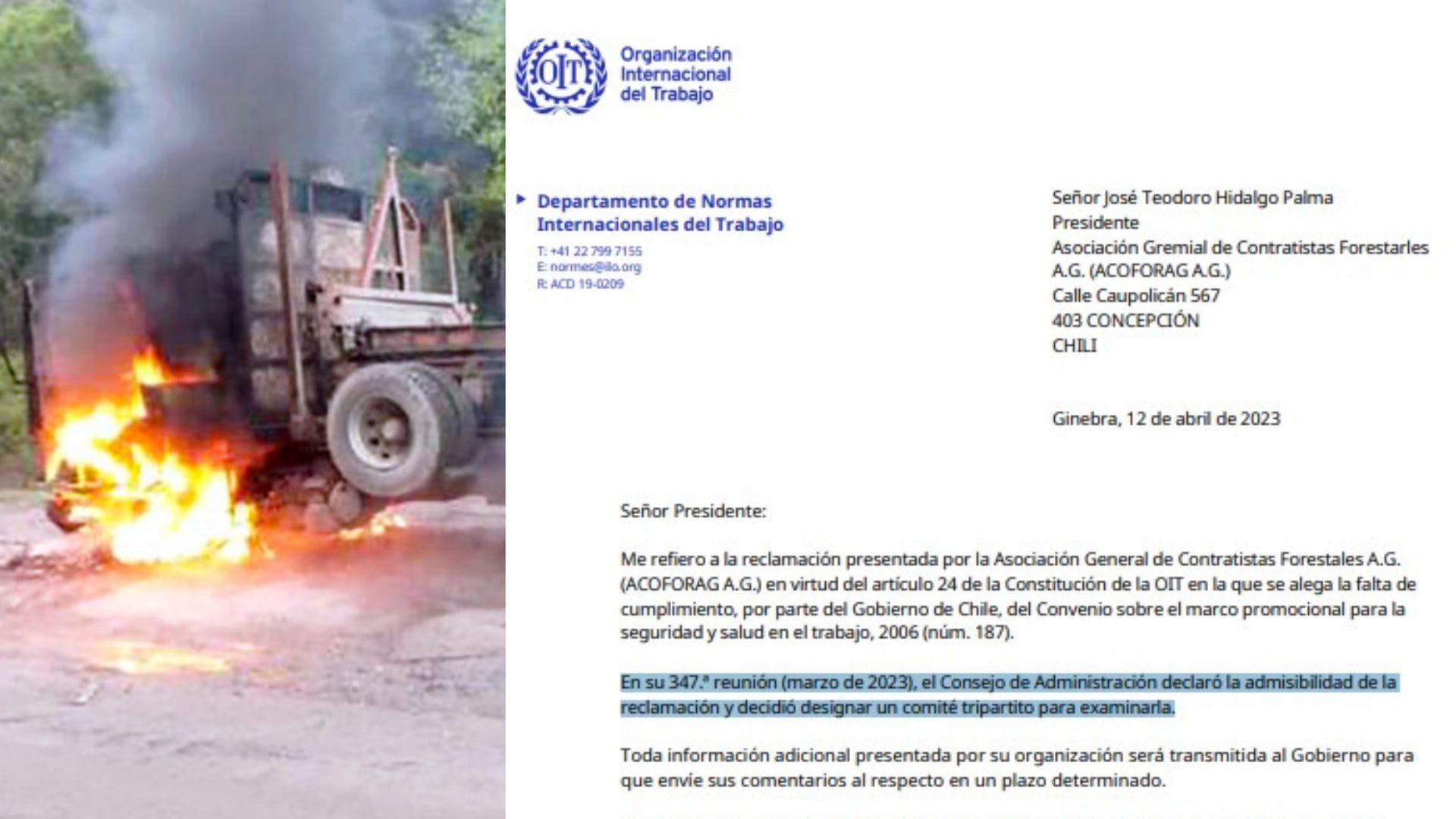 OIT da plazo hasta Junio al Estado de Chile para responder por requerimiento de Contratistas Forestales