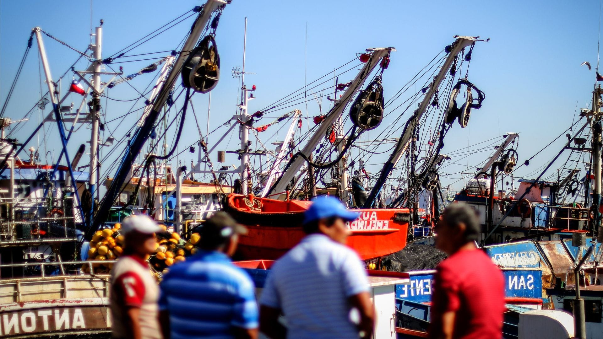 Sector pesquero por proyecto de apertura de cabotaje a naves extranjeras: “Un atentado a la Marina Mercante nacional”