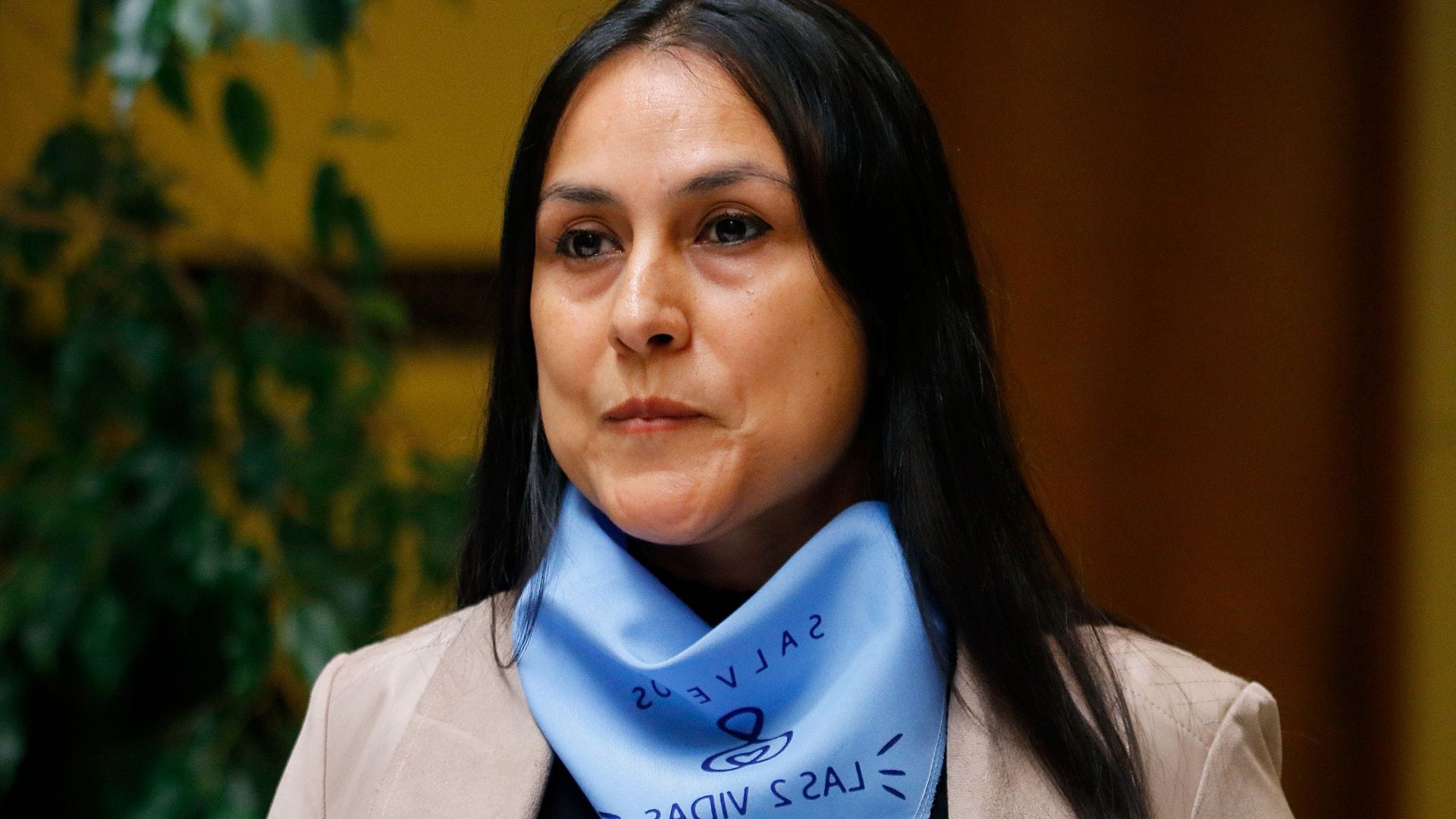 Diputada Francesca Muñoz confirma nueva comisión investigadora para revisión de garantías de la niñez