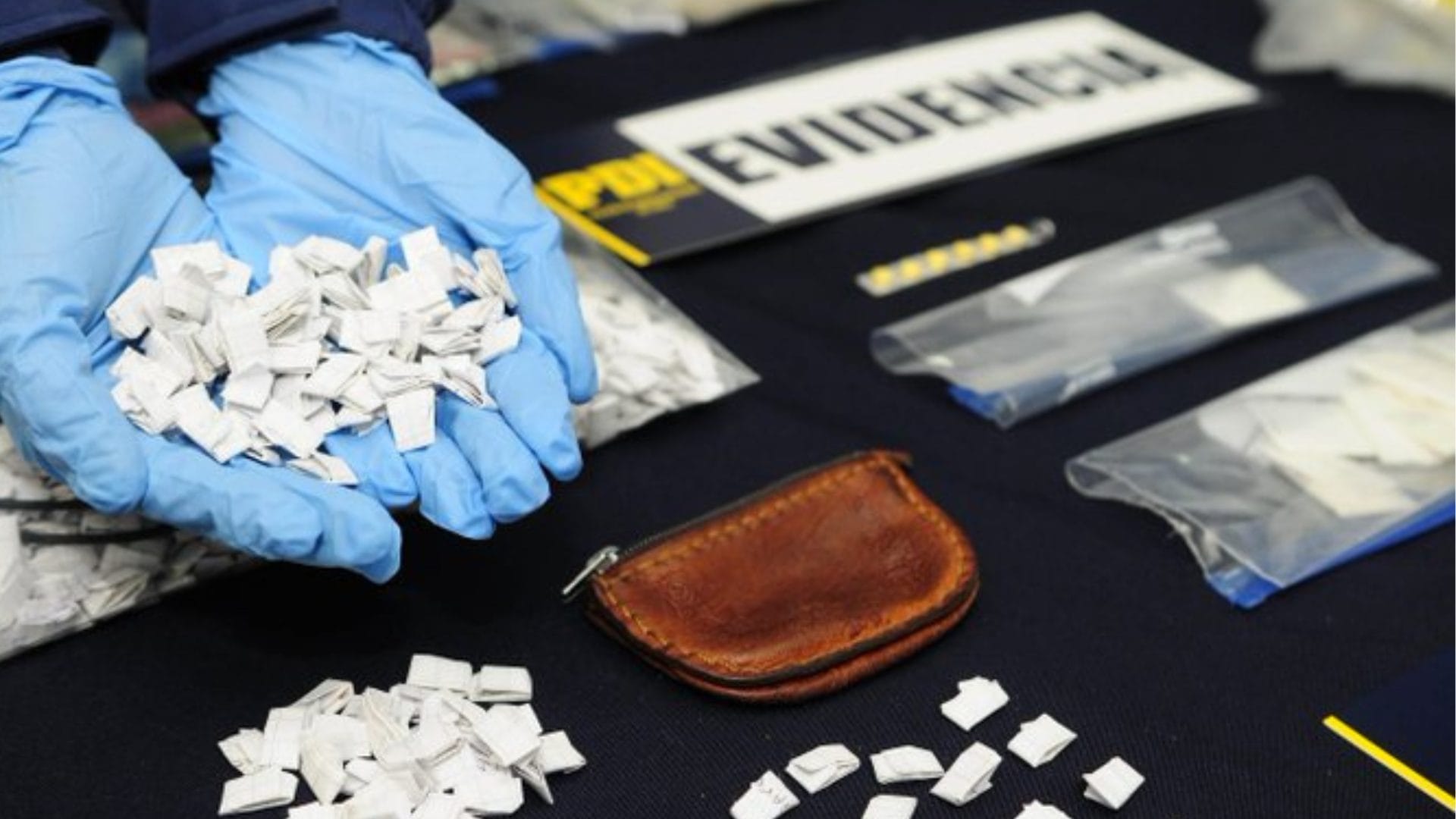 Perro de la PDI detectó grandes dosis de cocaína en Rapa Nui: Se detuvo a dos personas