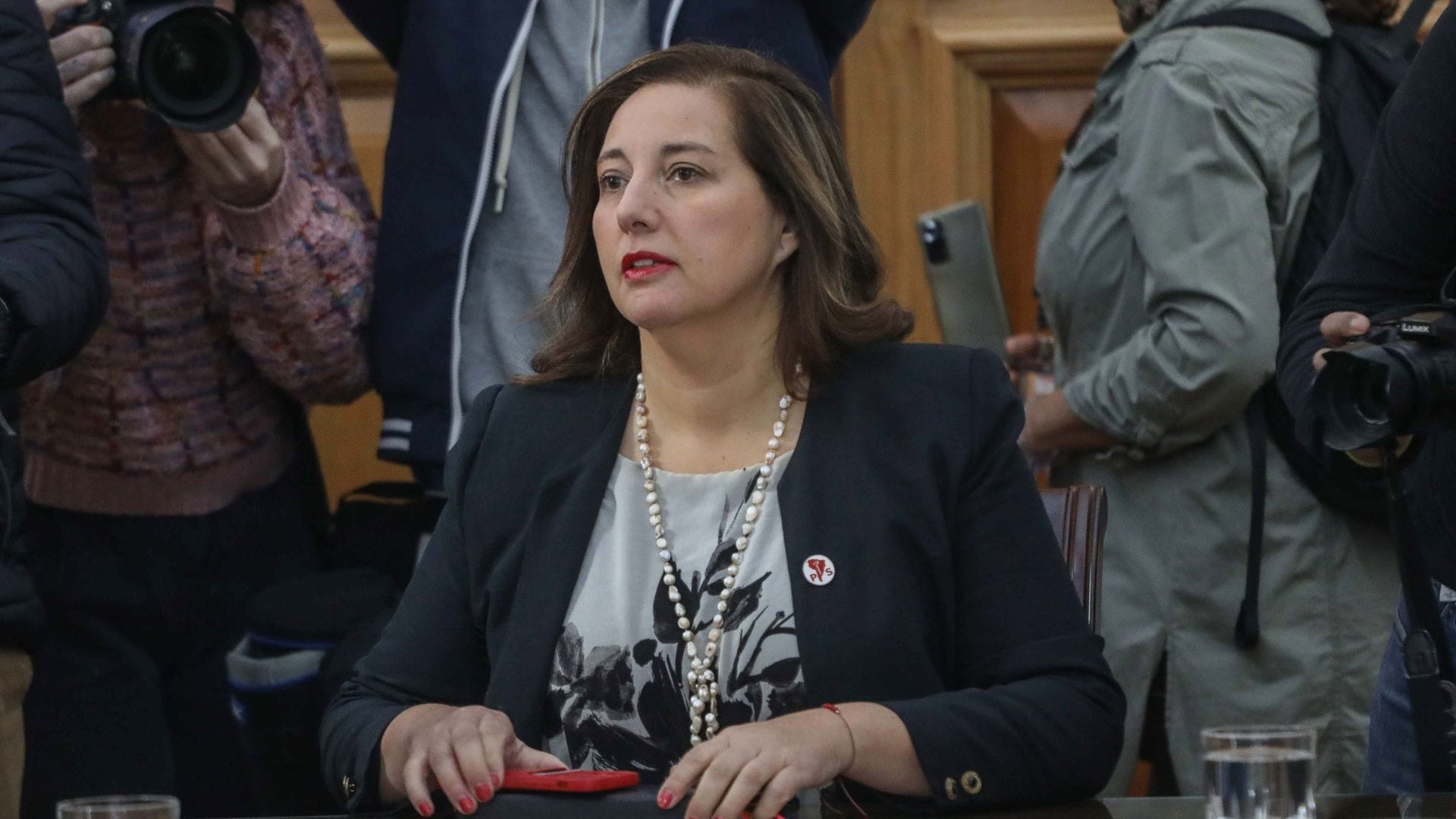 No va Bachelet: Paulina Vodanovic será la reemplazante de Álvaro Elizalde en el Senado
