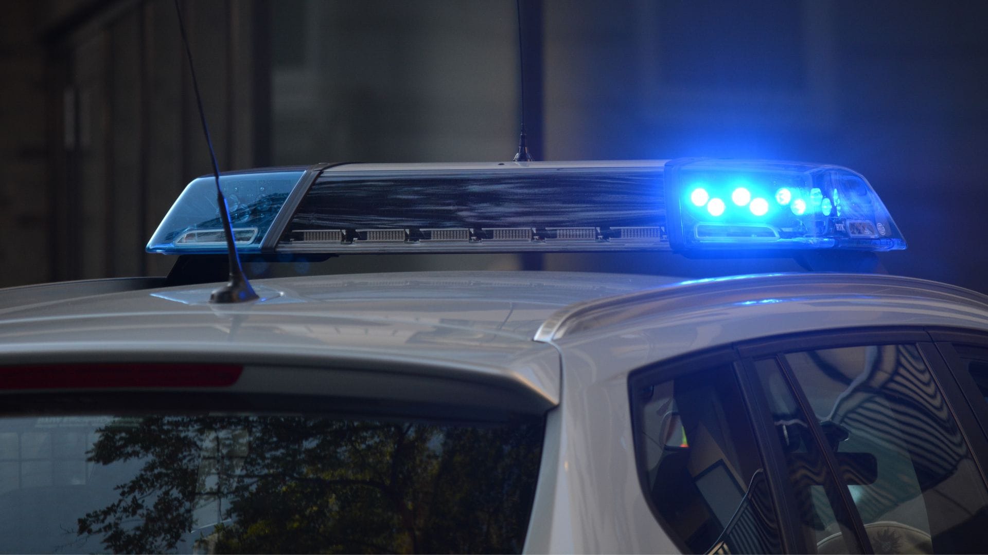 Hay un adolescente detenido: Niña de 5 años fue encontrada muerta en una bolsa de basura al interior de un departamento en Francia
