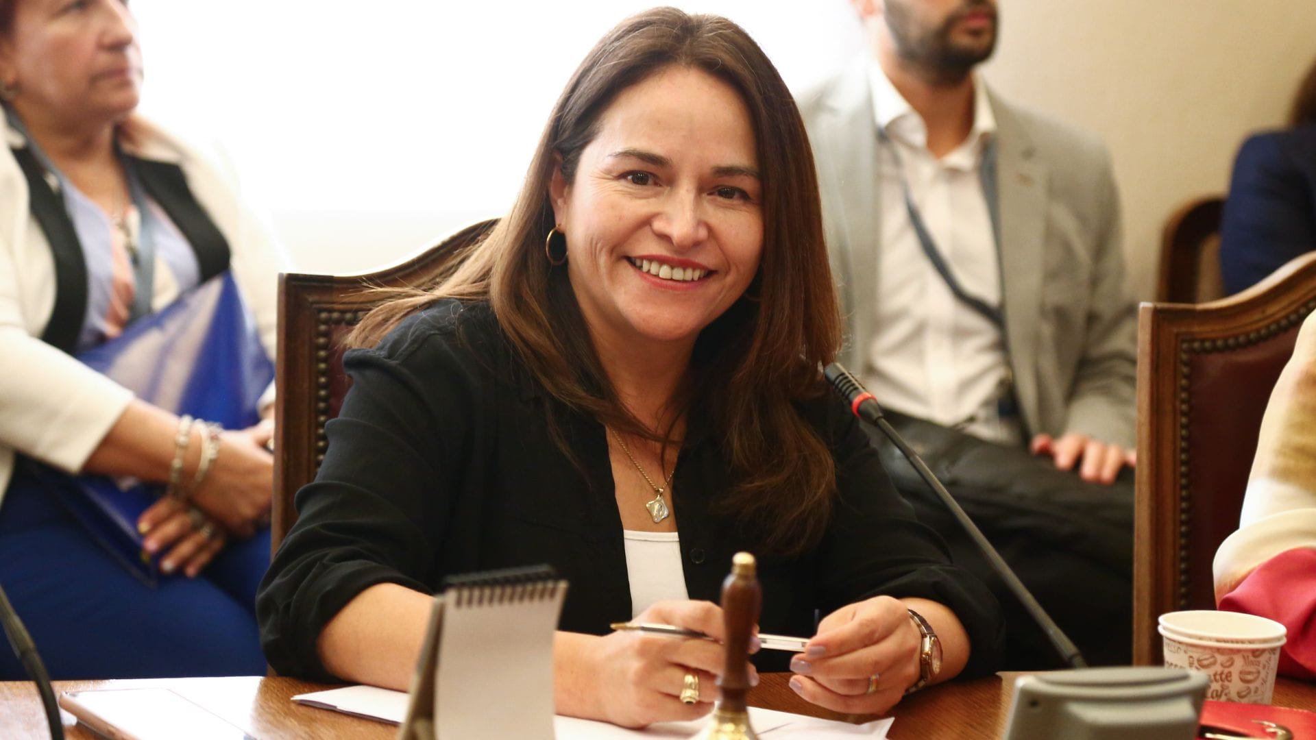Por votación unánime: Diputada Joanna Pérez es Presidenta de la Comisión de Gobierno Interior