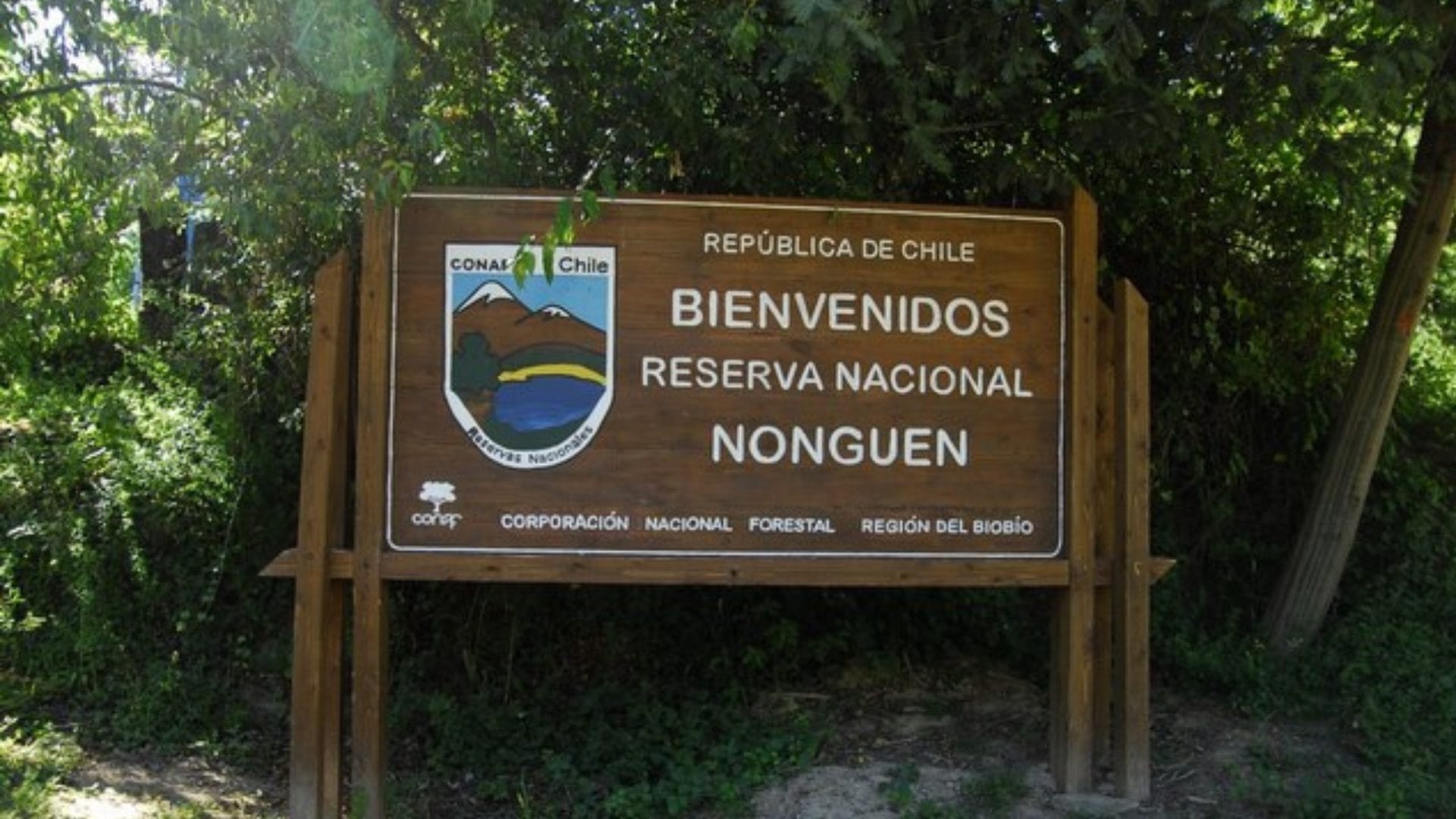 Debido al sistema frontal: Anuncian cierre preventivo del Parque Nacional Nonguén