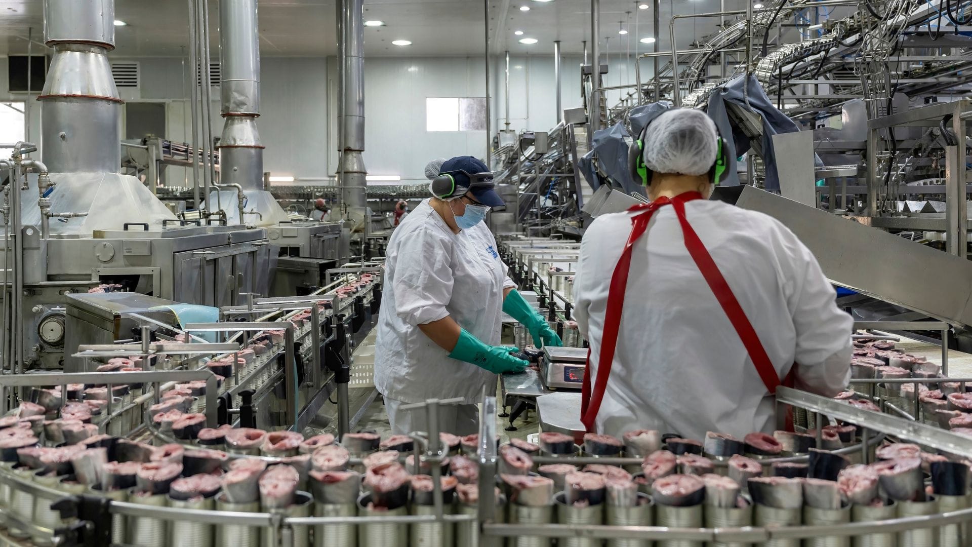 Asipes lo catalogó como “buenas noticias”: Estudio revela que 75% de pesquerías en las que participa la Pesca Industrial del Biobío están sanas