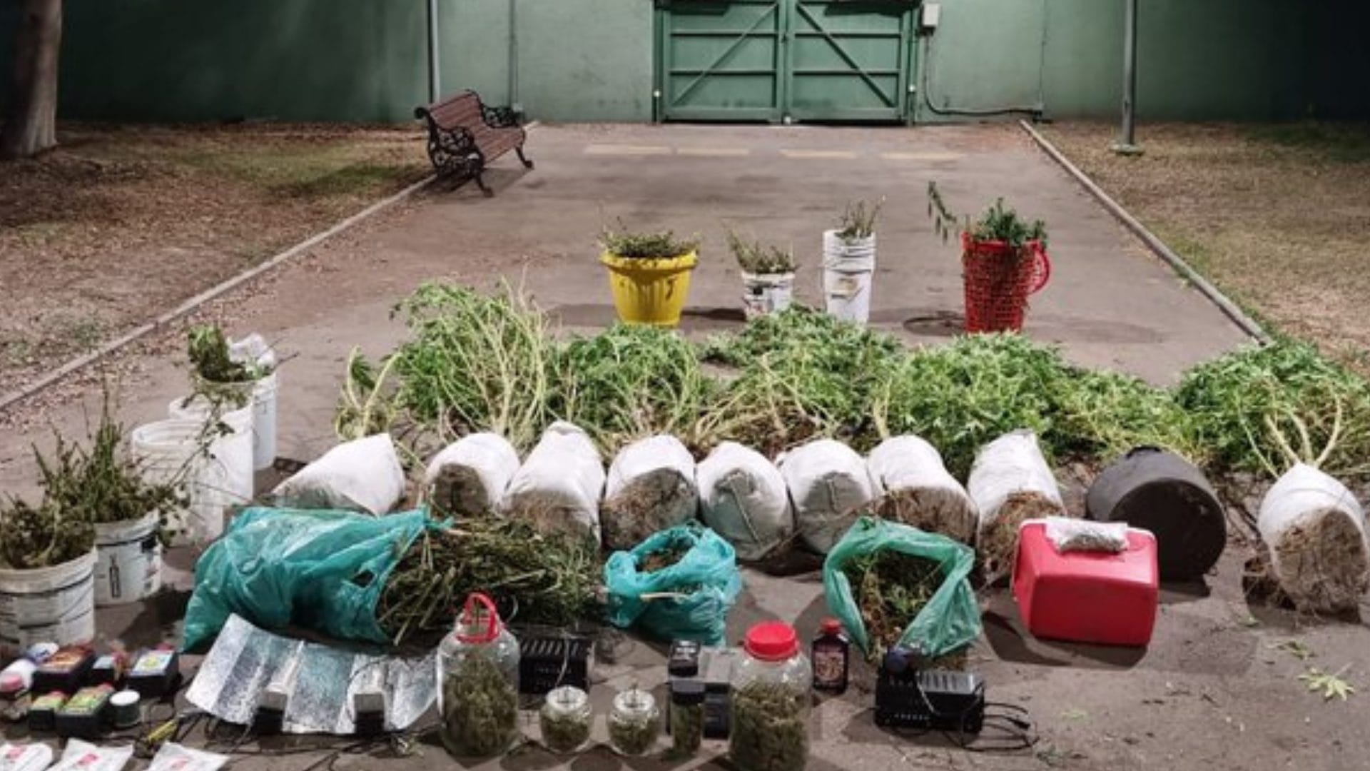 Tenían cultivo indoor de marihuana en su domicilio: Detienen a dos personas en Quinta Normal