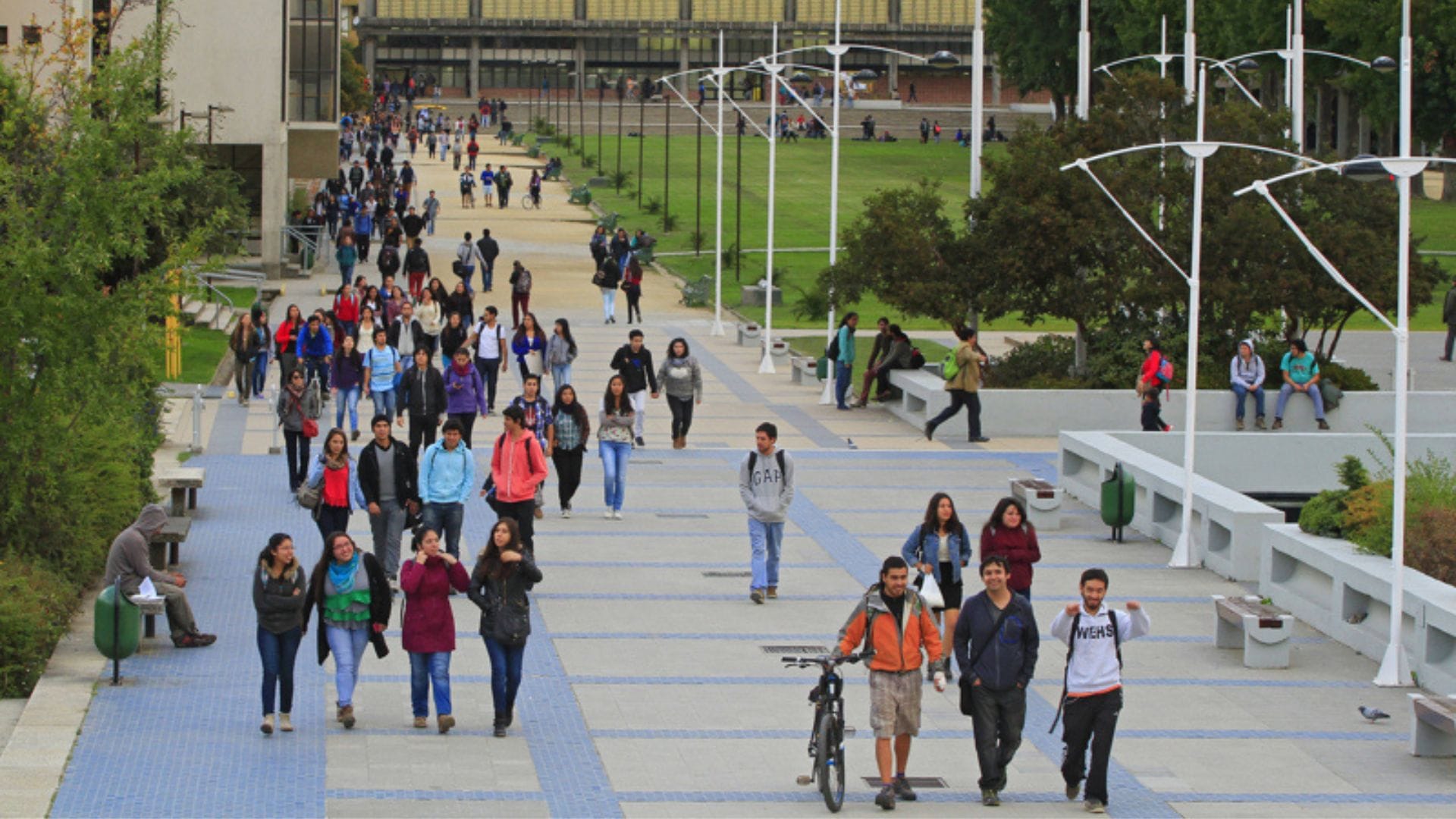 Junaeb anuncia beca para estudiantes afectados por incendios en el Biobío, Ñuble y Araucanía