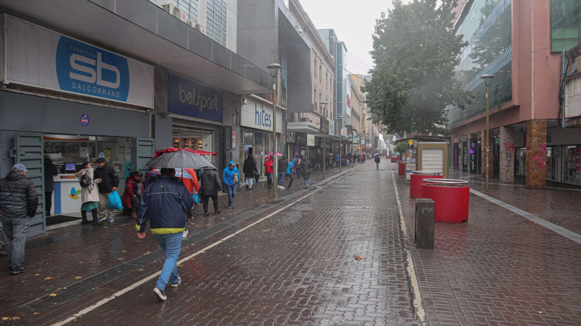 Alerta meteorológica pronostica precipitaciones en el Gran Concepción y distintas zonas del país