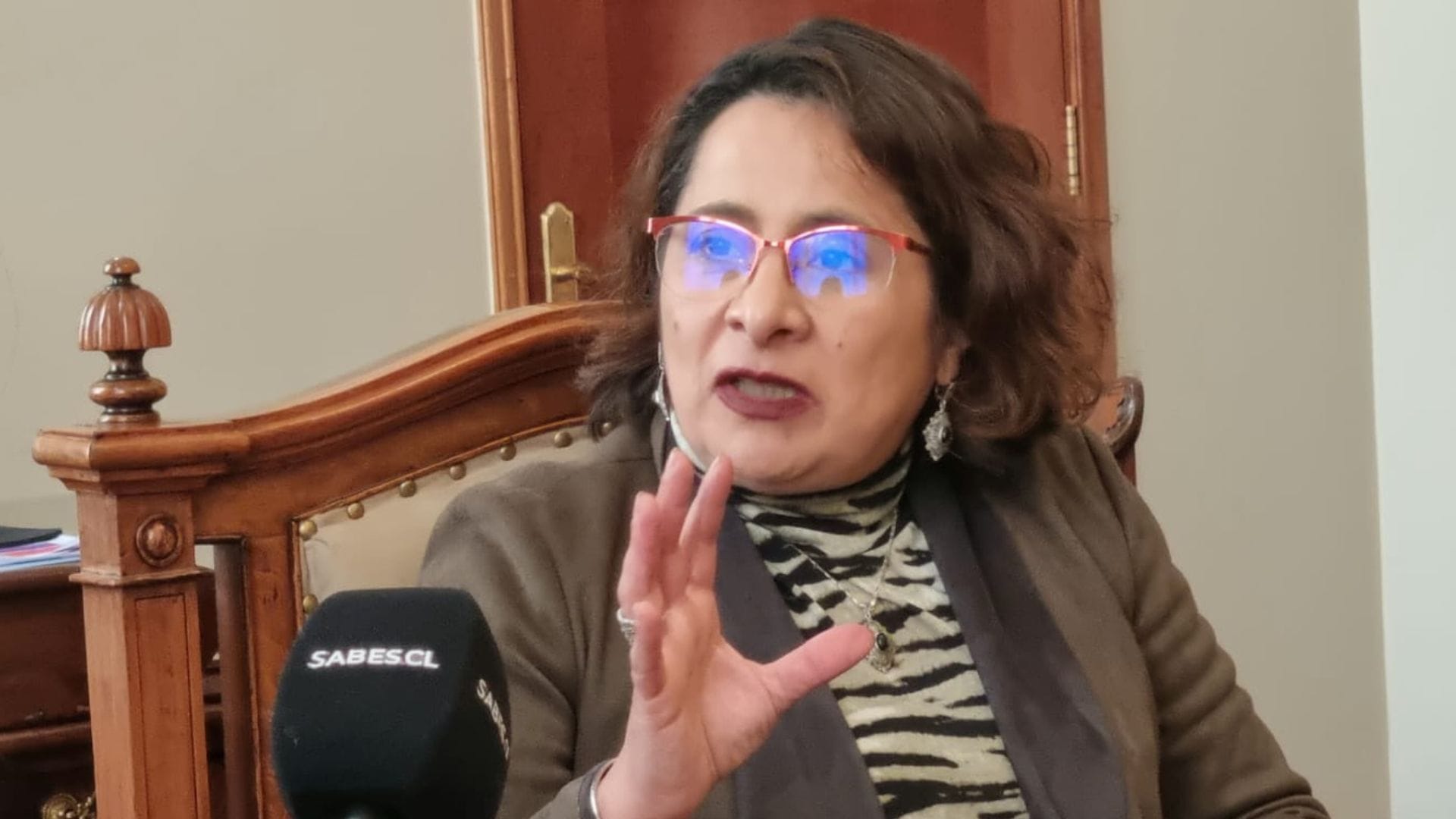 Ministra Rivas por trabajo de Mejor Niñez: “La falta de recursos económicos no puede ser justificación para no cumplir con la ley”