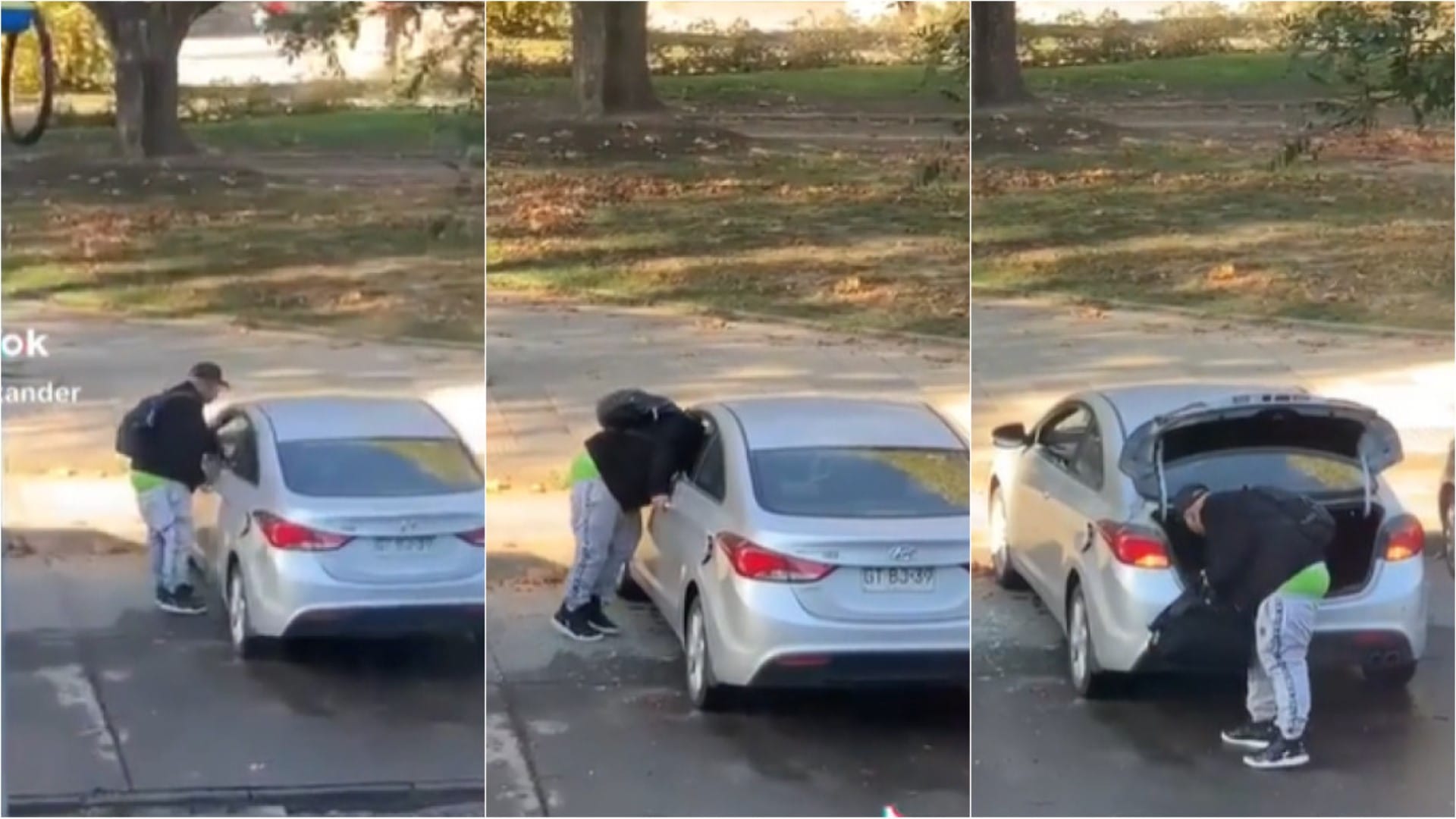 Video de descarado robo en el Parque Ecuador se toma TikTok y causa repudio entre los penquistas