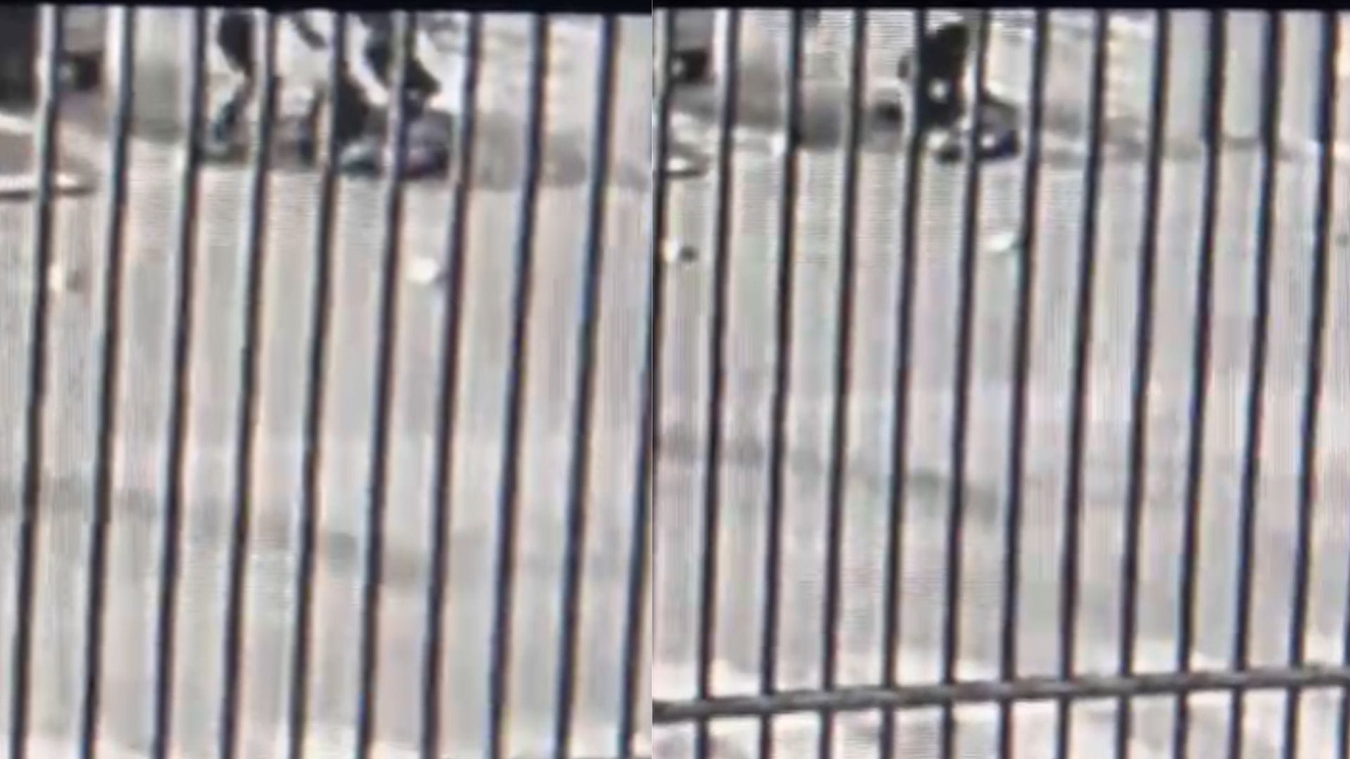 Adultos mayores sufrieron violento asalto en salida de banco en La Cisterna